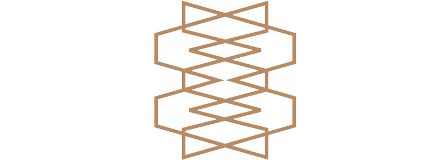 welkinmeraki-logo