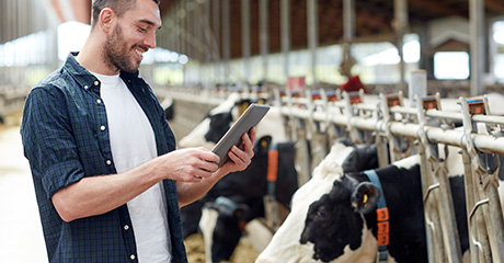 CX_CS_Fonterra_460x240