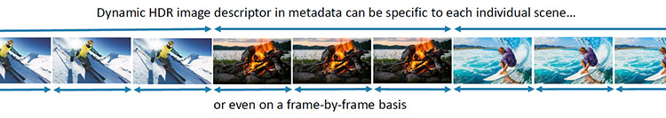 Figure_3_Dynamic-Metadata