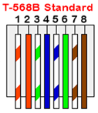 T-568B Standard